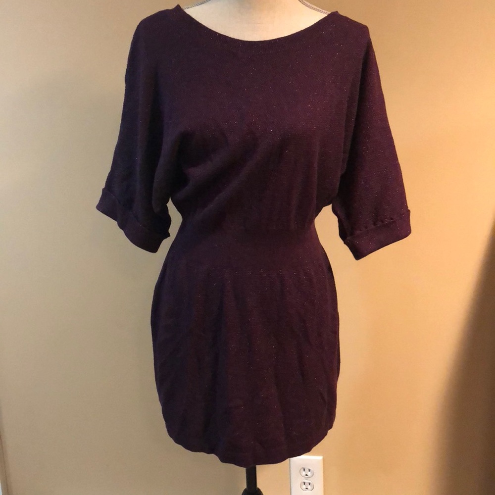 Express sweater dress